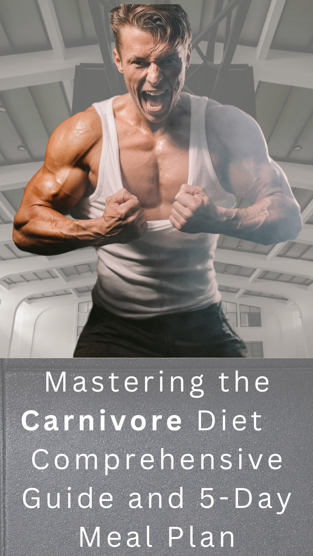 Mastering the Carnivore Diet meal plan header